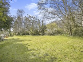 Snow Hill, Bere Regis, Wareham thumb 2