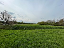 Ely Road, Chittering, Cambridge thumb 3