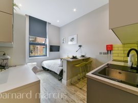 Chesnut Road, LONDON photo