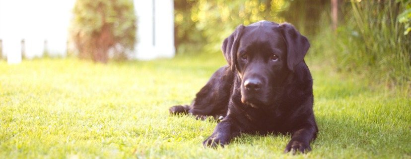 TED'S BLOG