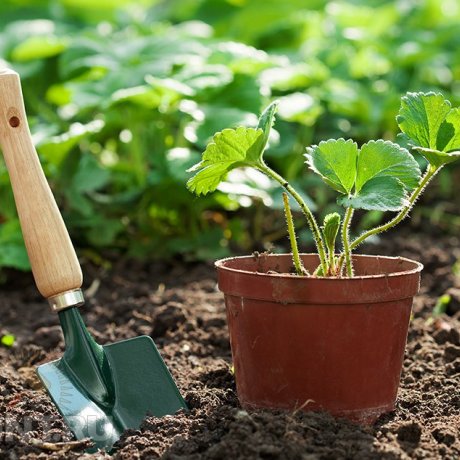 KJJM Gardening