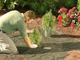 B Turner Landscapes