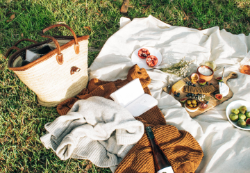 Our top 10 picnic spots in the South Hams
