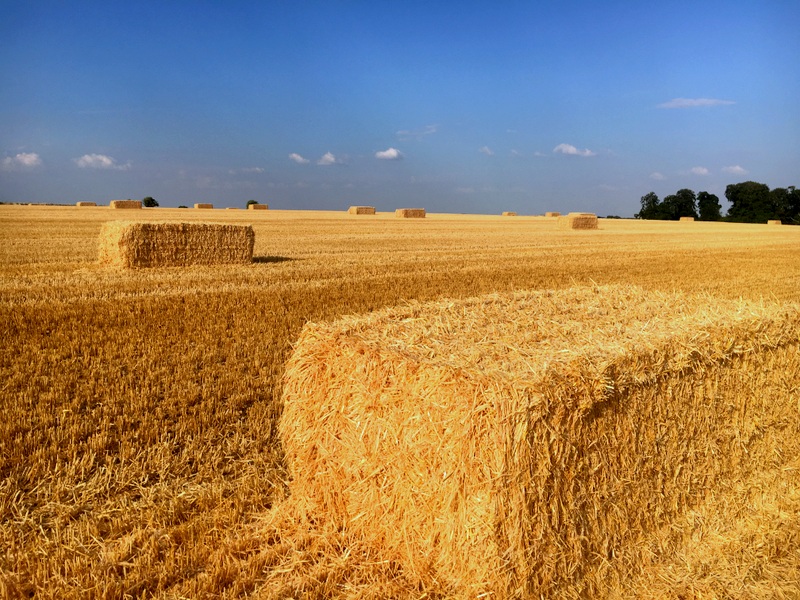 https://mr1.homeflow-assets.co.uk/files/media/image/0000/0000/1e477daf19ecd78d74d250661dd4419f/Hay_&_Straw.JPG