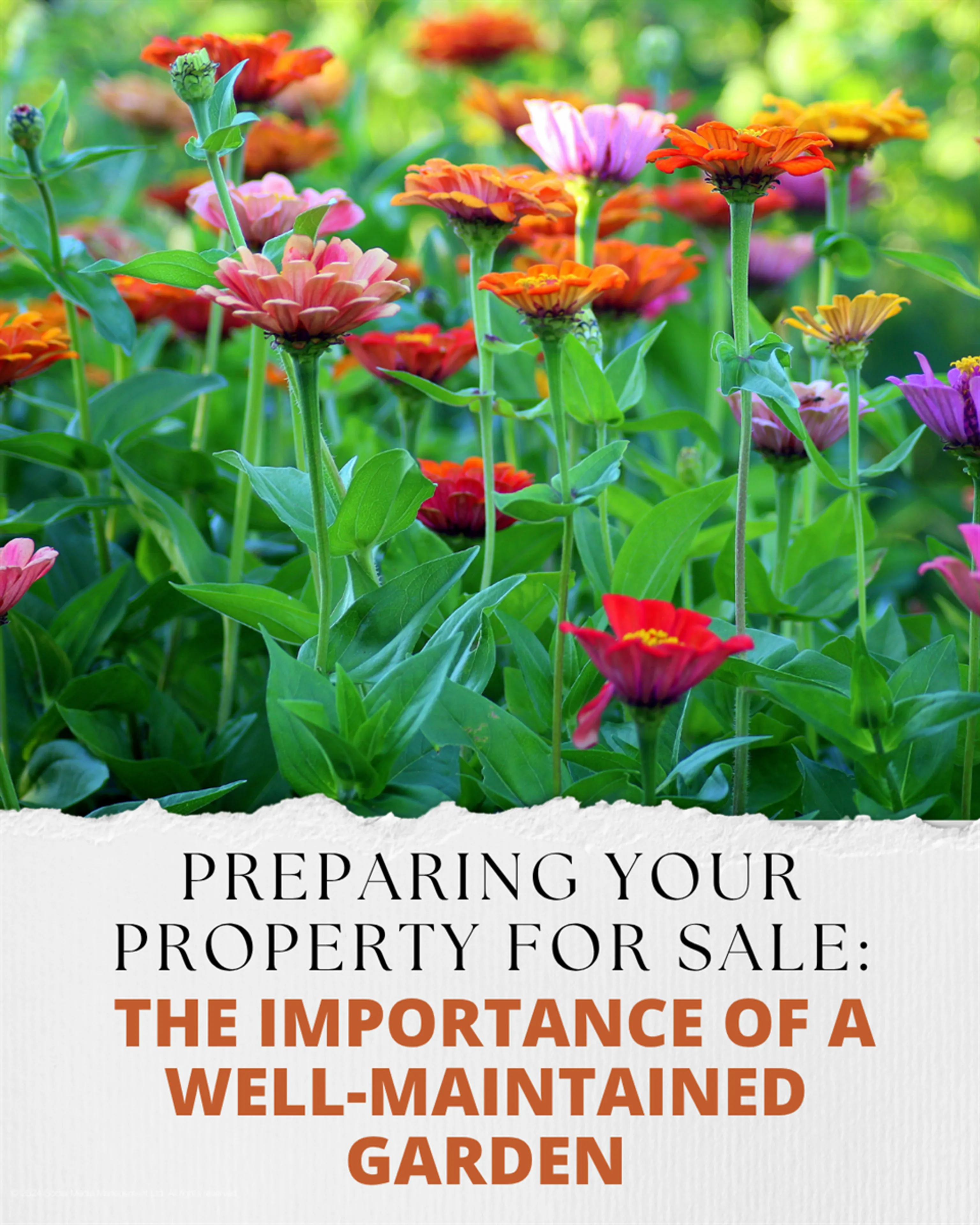 Preparing your property for sale: The importance of a well-maintained garden