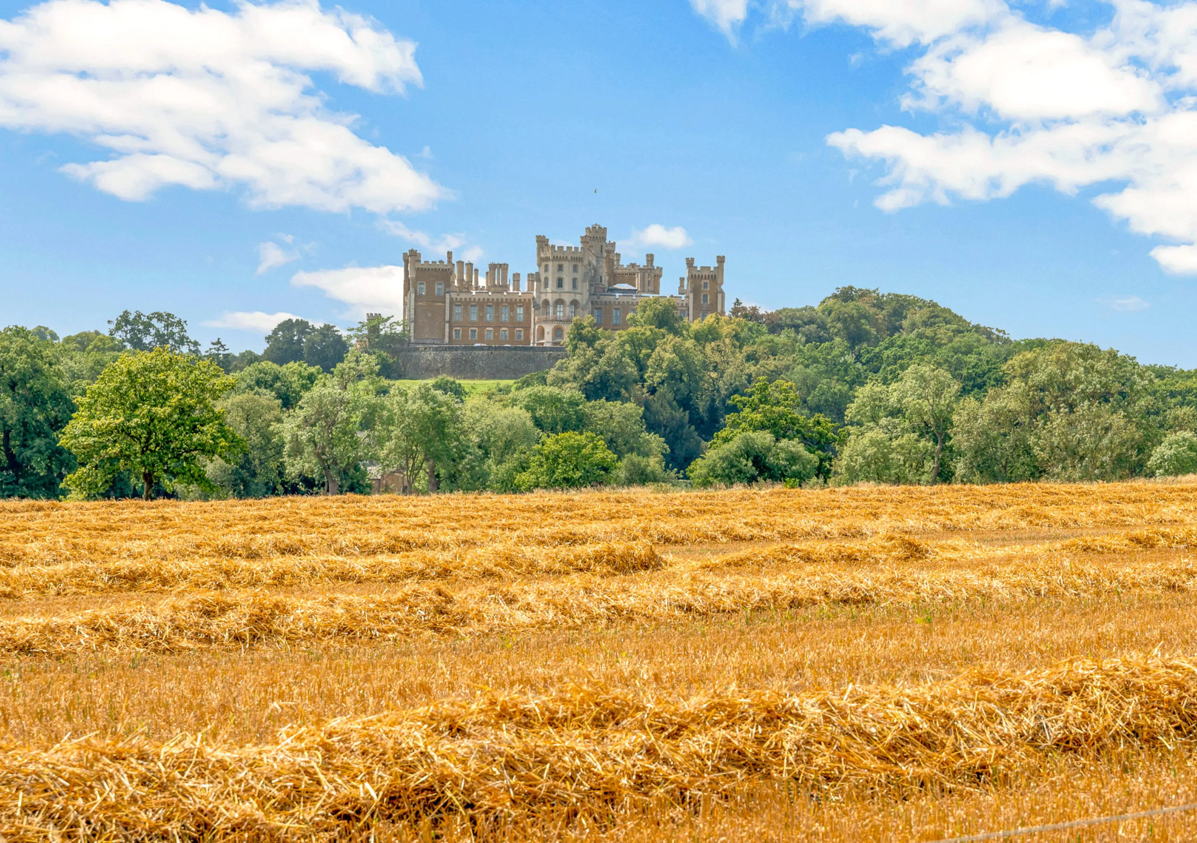 https://mr1.homeflow-assets.co.uk/files/media/image/0000/0000/44eb9a983e105fa99f0dc4e6b378fa26/BinghamOffice,BelvoirCastle.jpg