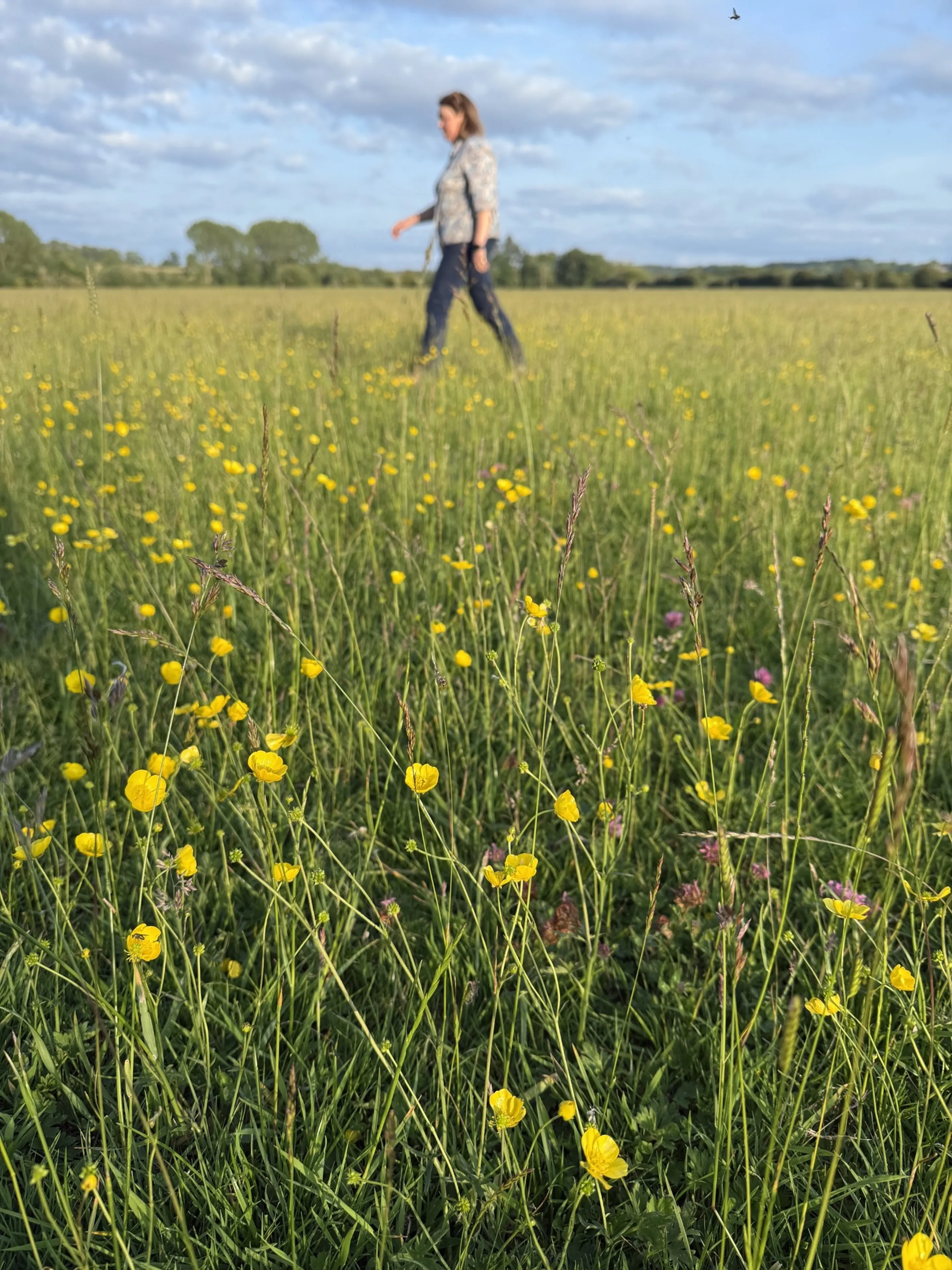 https://mr1.homeflow-assets.co.uk/files/media/image/0000/0000/4bda9829345ab753a9f28b4977309d43/walking_field.jpeg