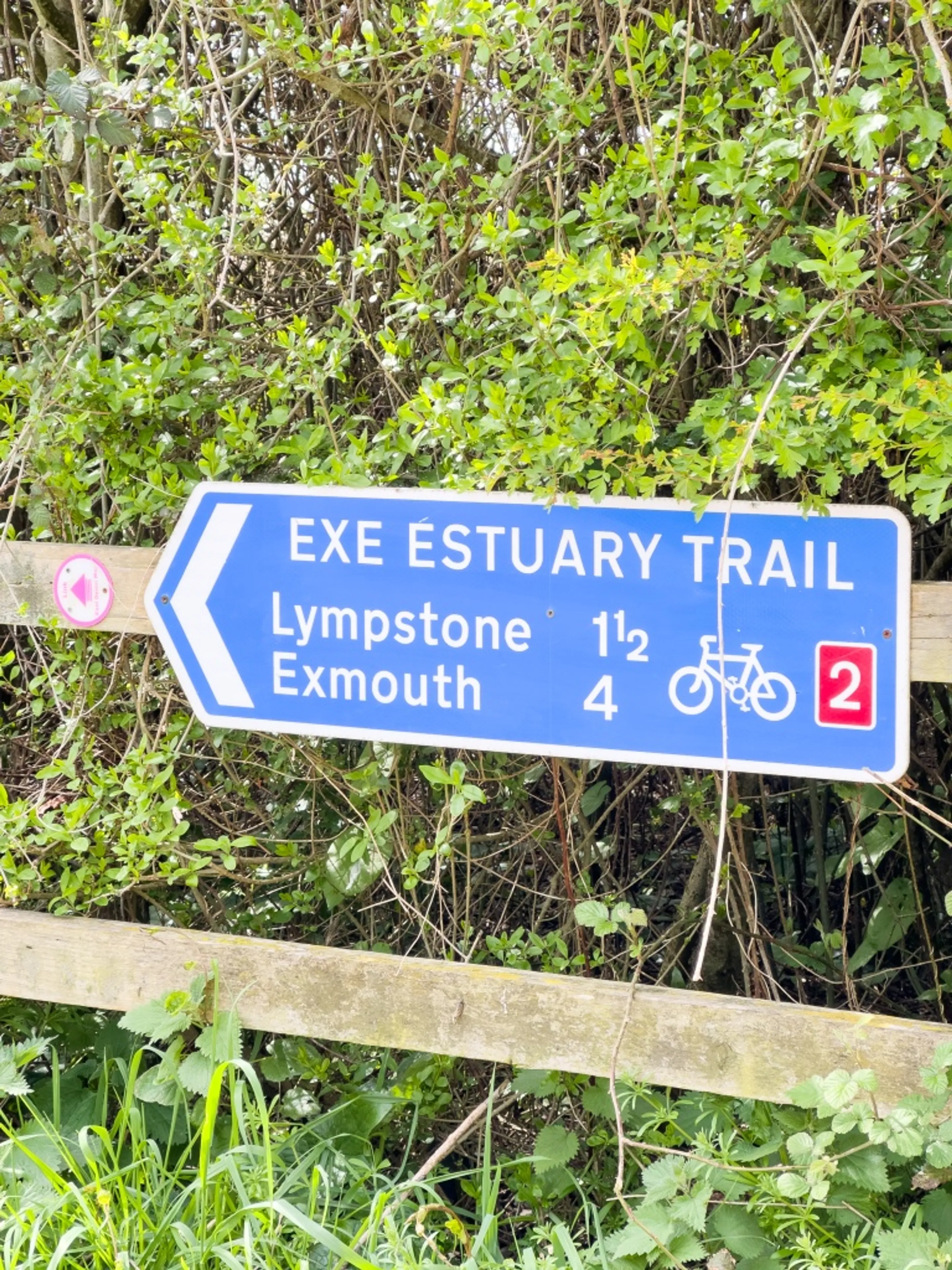 Lympstone3(Medium).jpg