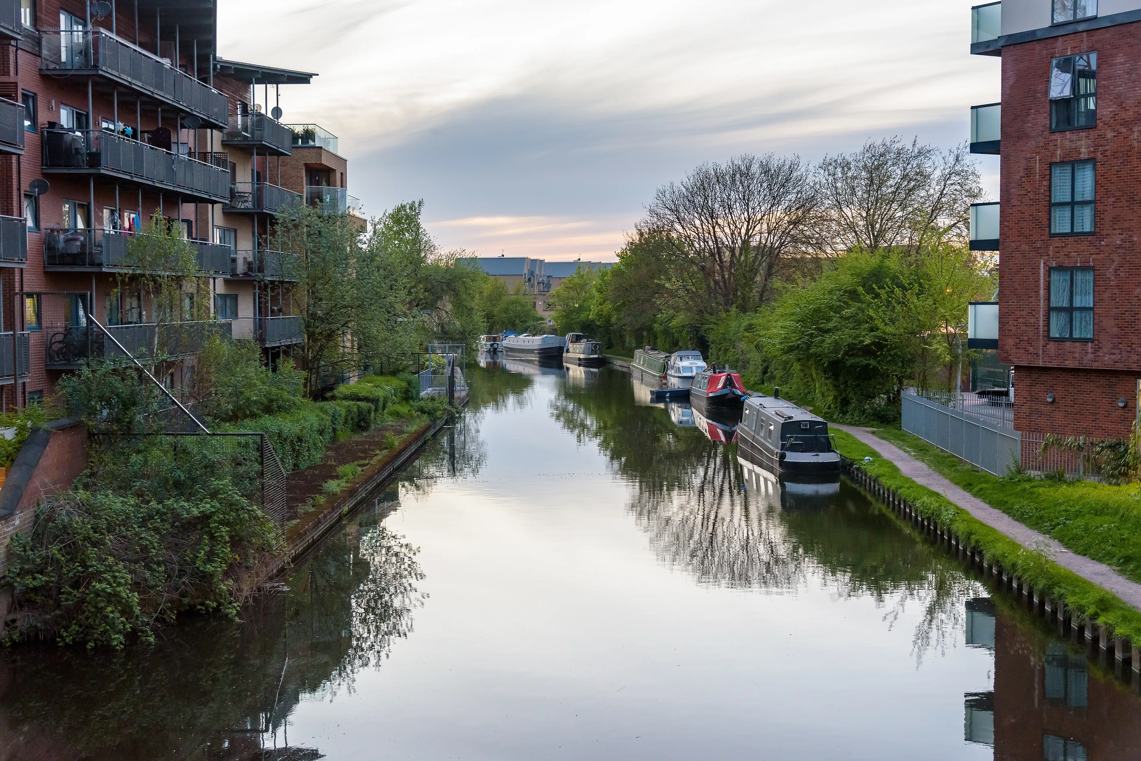 Chase Buchann Acquires Lawlor's Estate Agents