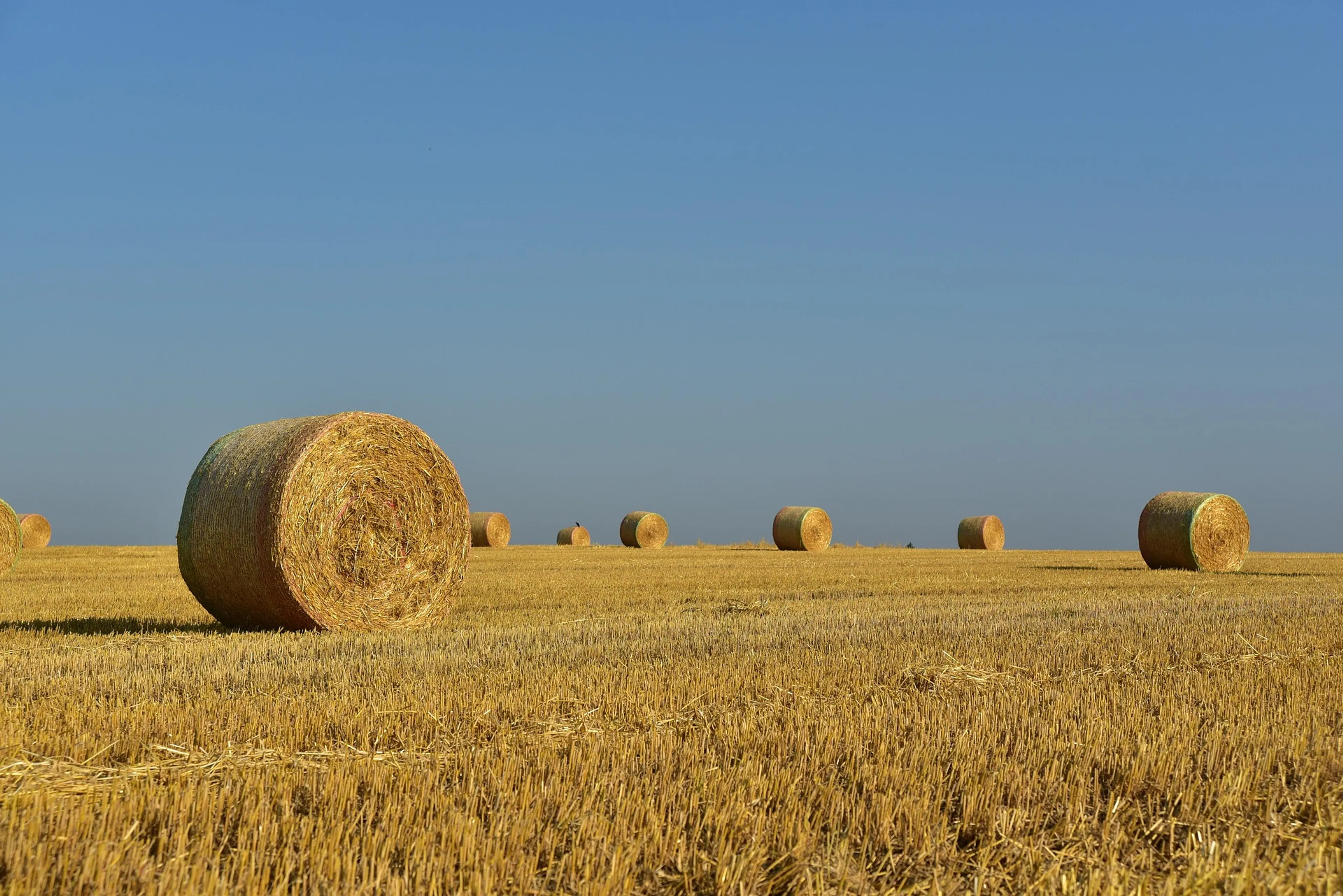 https://mr1.homeflow-assets.co.uk/files/media/image/0000/0000/aac5463fea70c0b3cce9f5e7df193ace/hay_bales_cotswolds.jpg