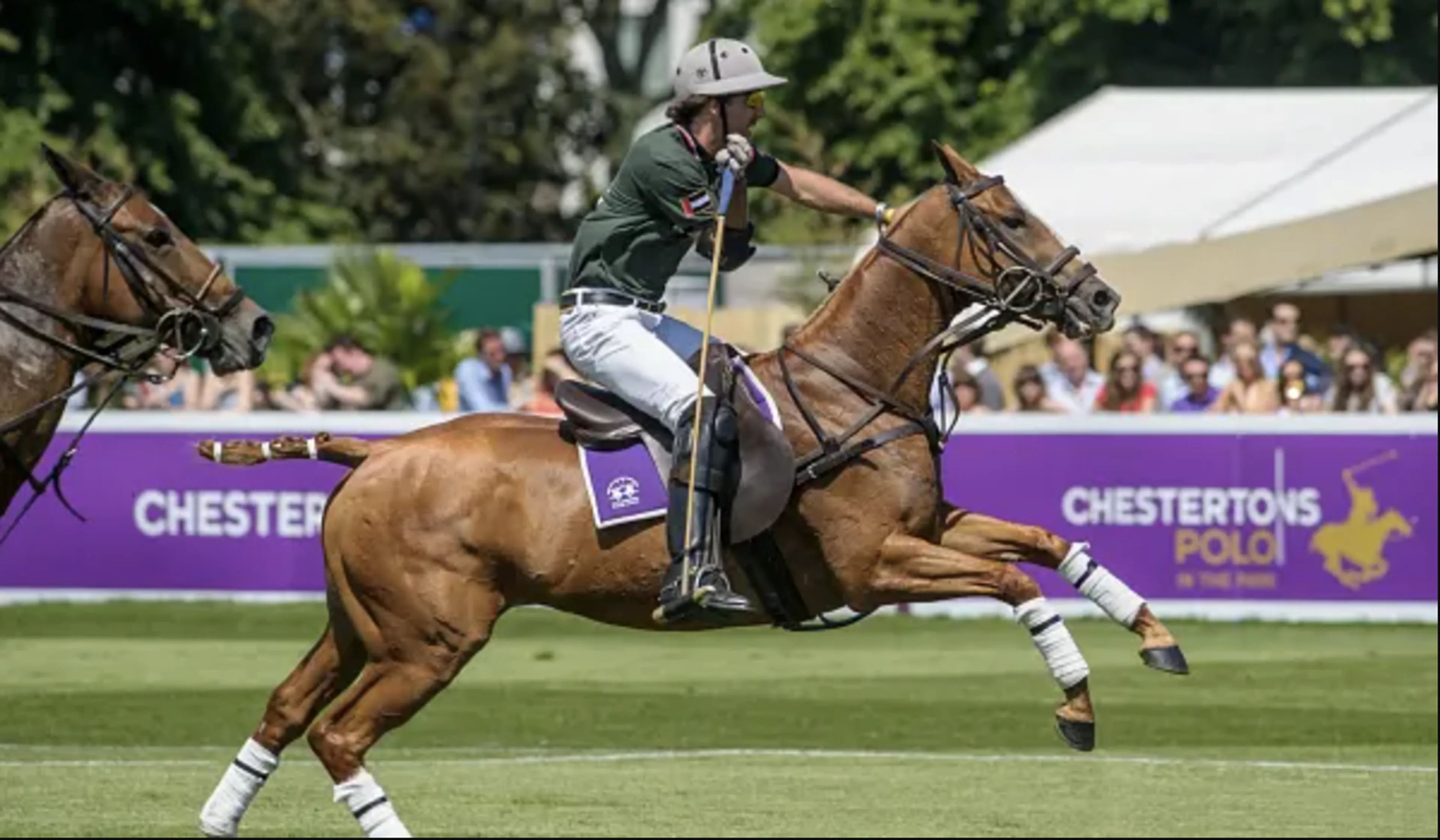 chestertons-polo-in-the-park.png
