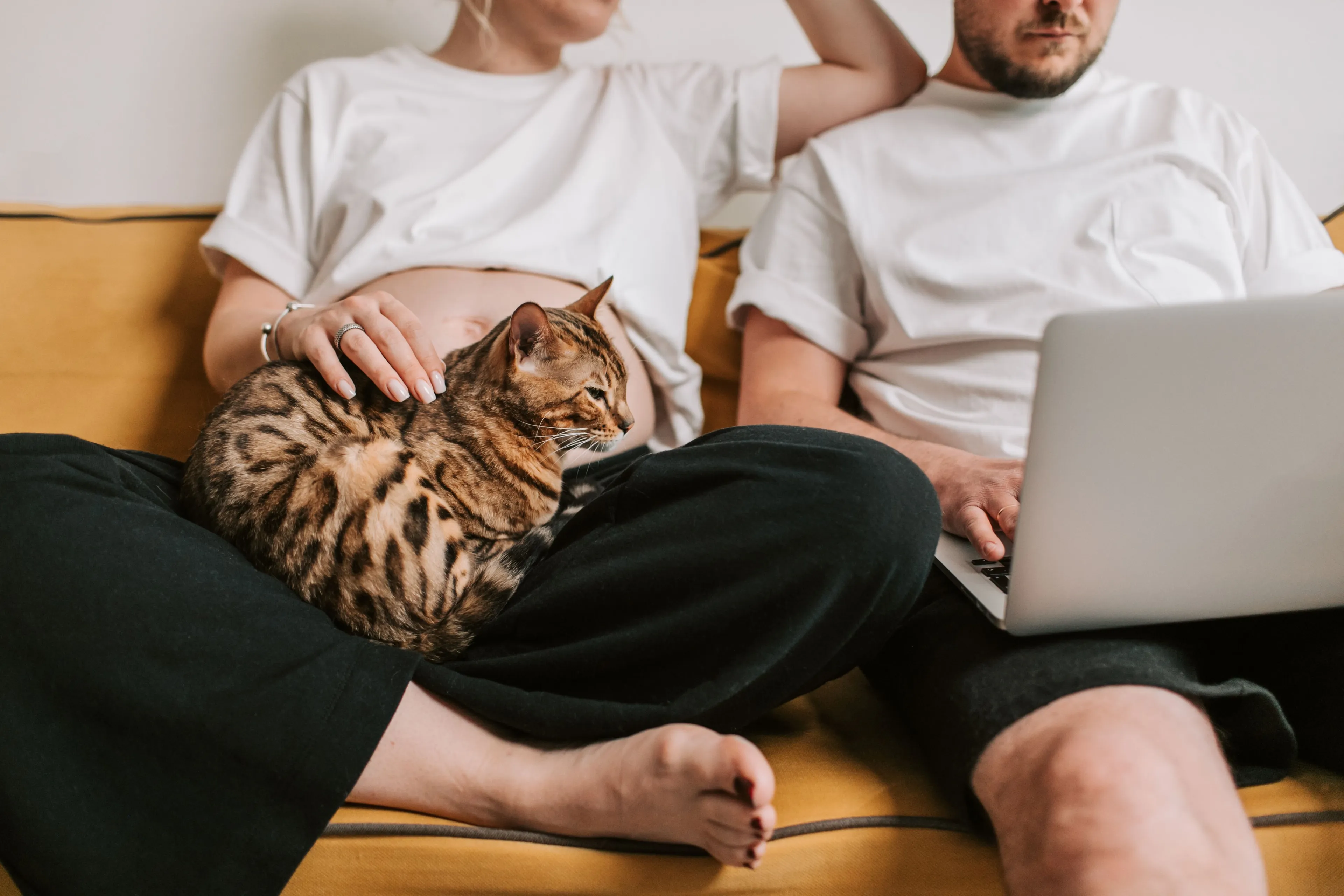 https://mr1.homeflow-assets.co.uk/files/media/image/0000/0000/e2b8660b43611c5e23f39741e746fcf0/pexels-vlada-karpovich-8359709.jpg