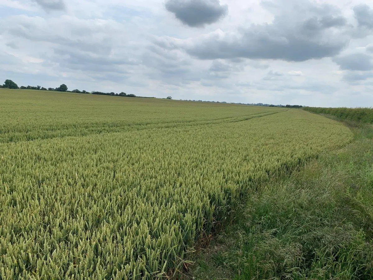 Melton Mowbray