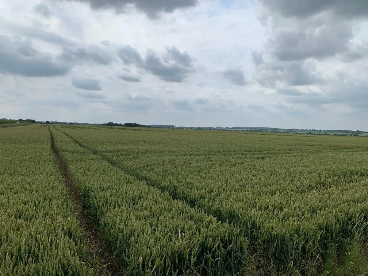 Melton Mowbray