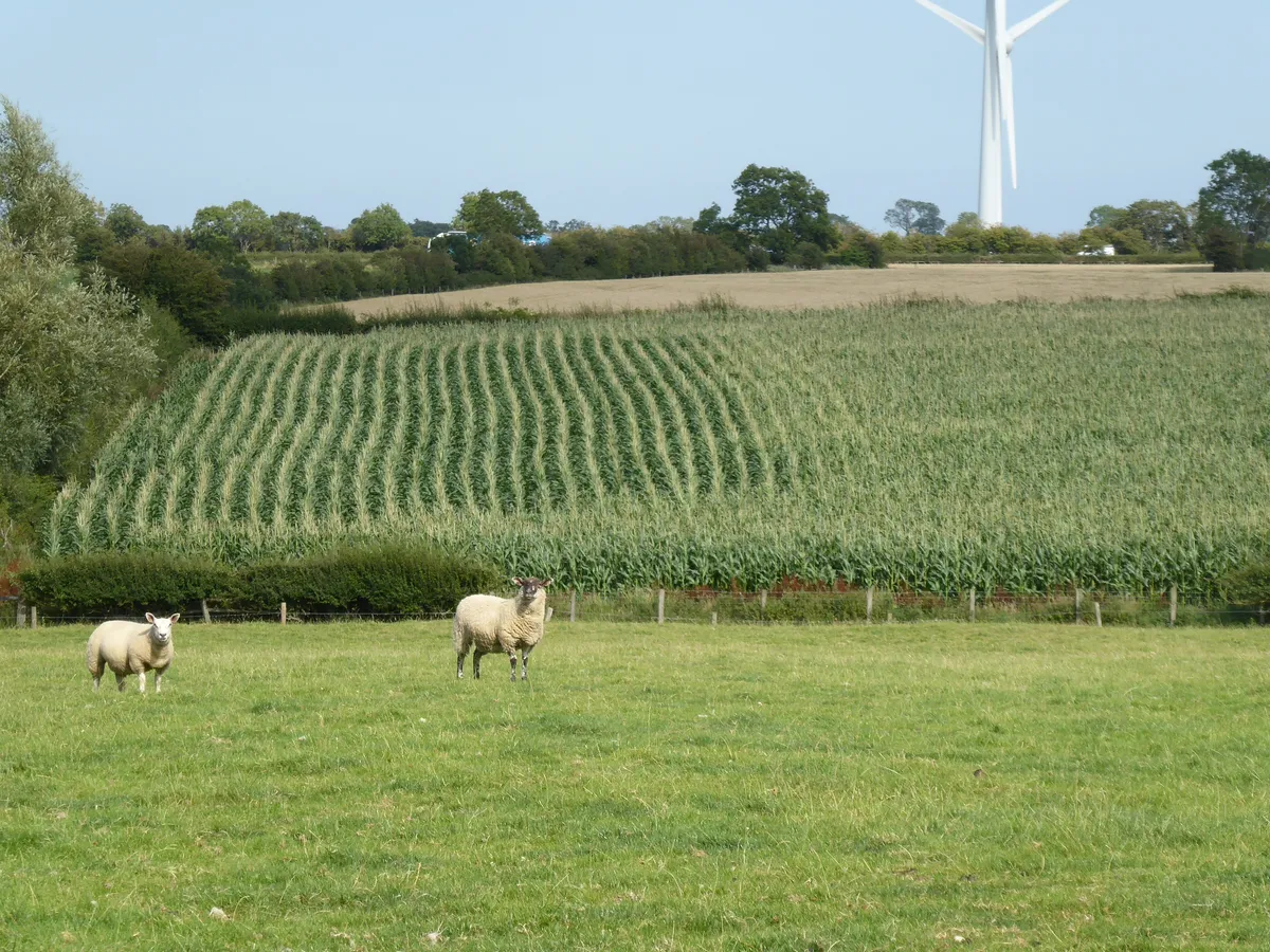 Willoughby Grange, Wymeswold, Leicestershire LE12 6SB