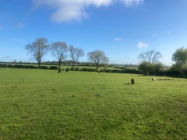 KNOSSINGTON