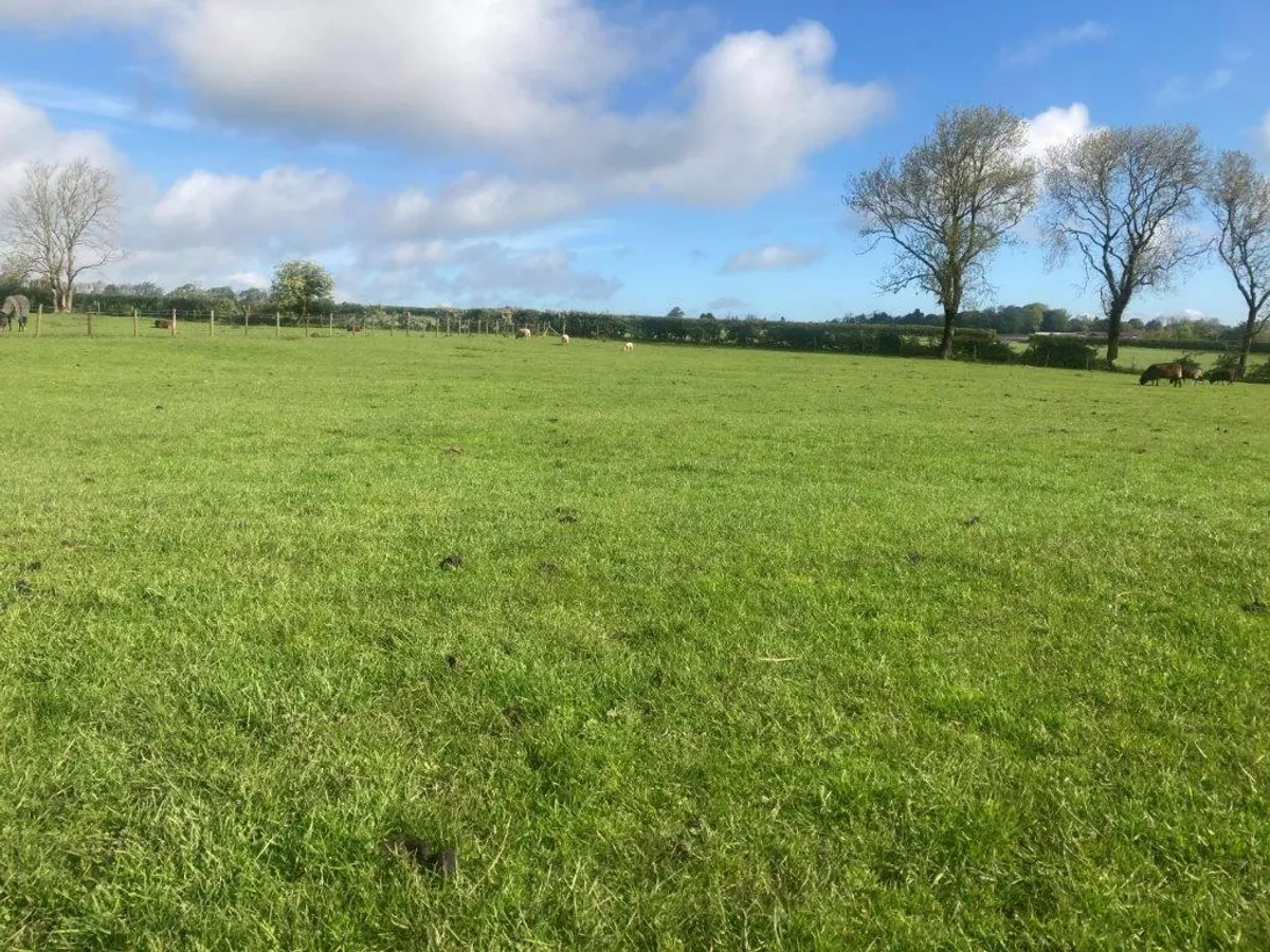 KNOSSINGTON