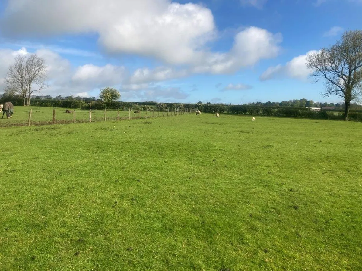 KNOSSINGTON
