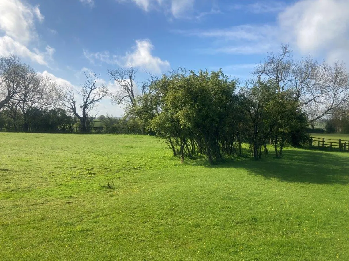 KNOSSINGTON