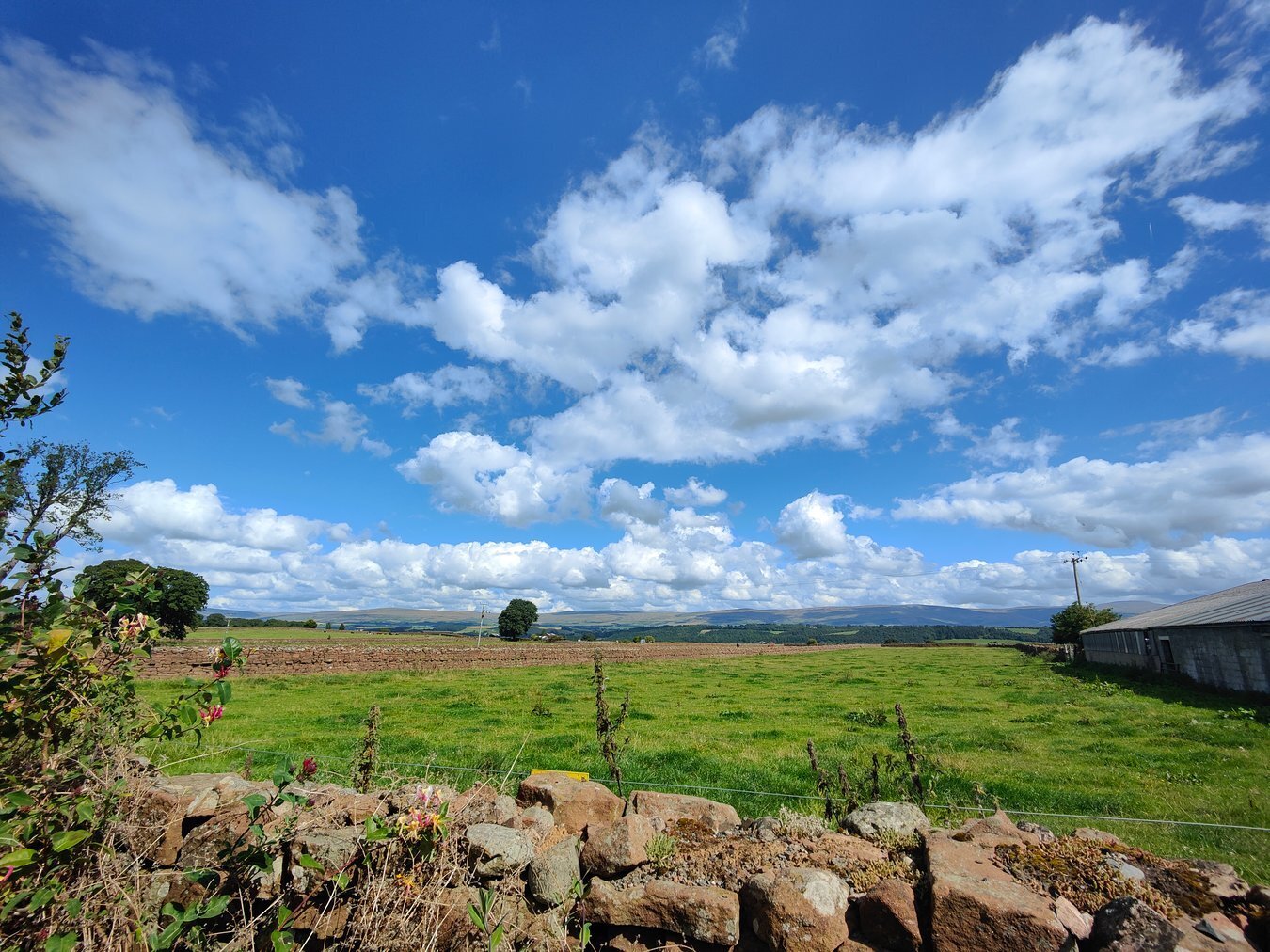 Properties for sale from Penrith branch, Cumbrian Properties.