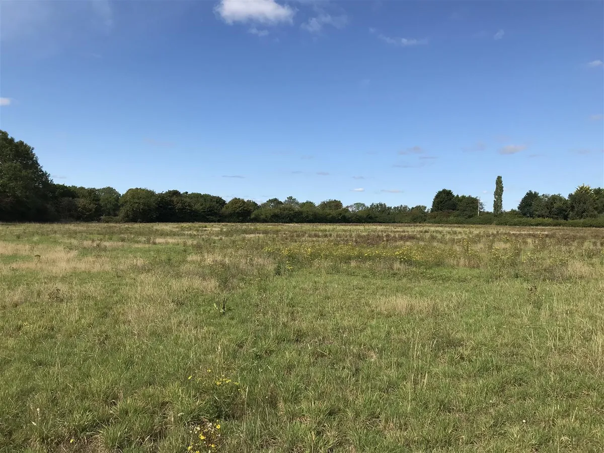Property For Sale In 196 40 Acres Of Land At Lilling York Guide 