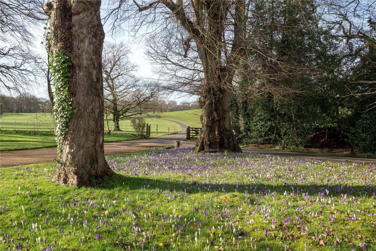 JacksonStops 2 bedroom property for sale in Birtles Hall, Birtles