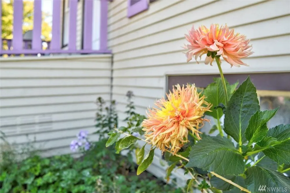 4519 S Holly St, Seattle, WA 98118