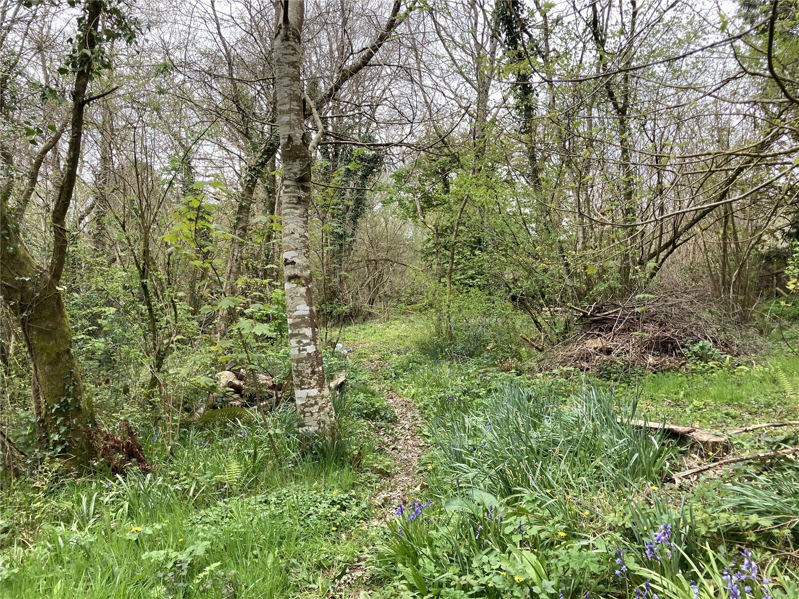 2 bedroom property for sale in Dartington, Totnes, Devon, TQ9 Guide