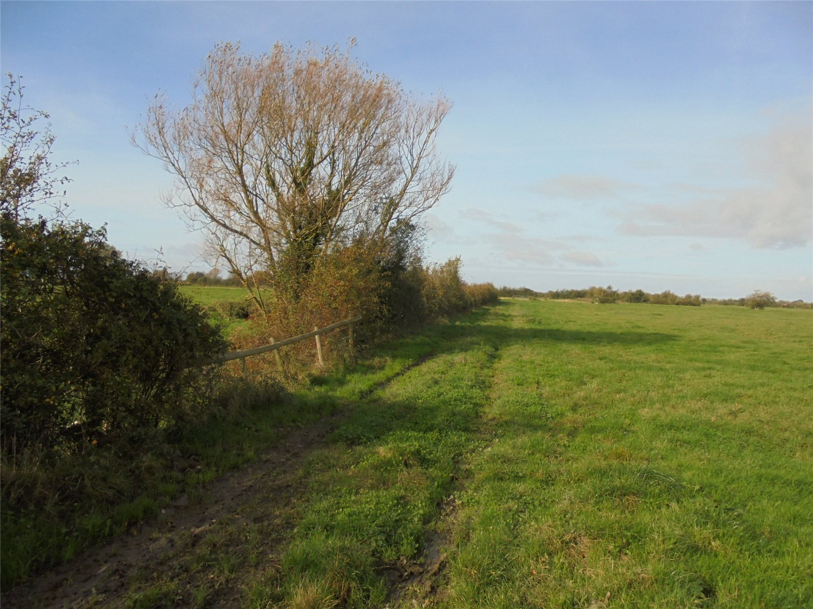 The Doles, Badgworth, Axbridge, Somerset, BS26