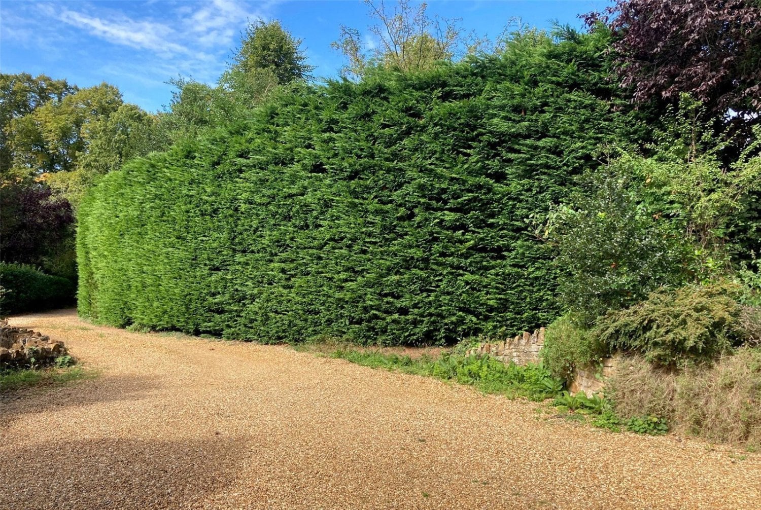 JacksonStops 4 bedroom property for sale in Dallington Green