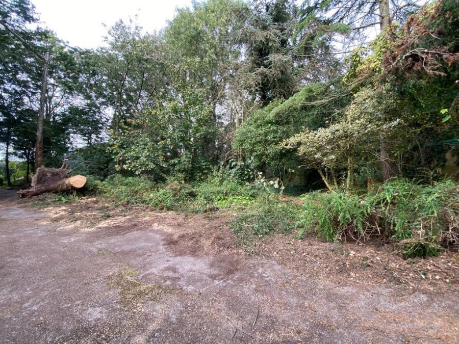 Stags 3 bedroom property for sale in Staplegrove, Taunton