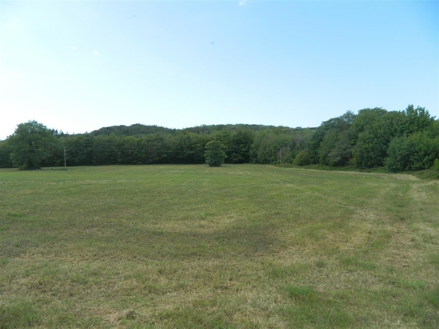 Stags property for sale in Bridestowe, Okehampton