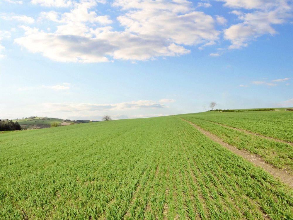 property for sale in Byton, Presteigne, Powys, LD8 Guide price £550,000