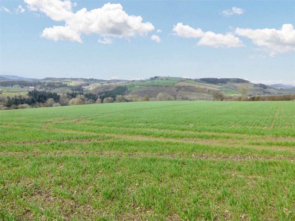 property for sale in Byton, Presteigne, Powys, LD8 Guide price £550,000