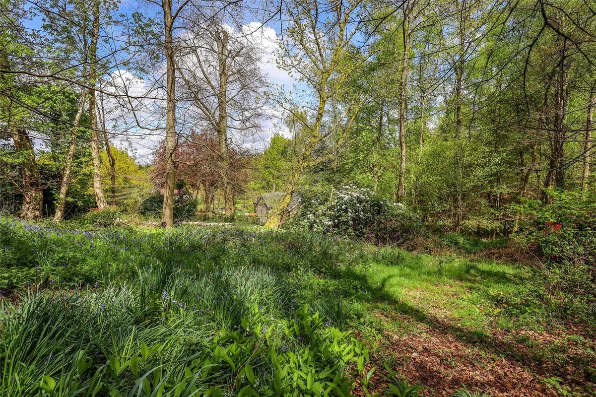 Primrose Lane, Liss, GU33
