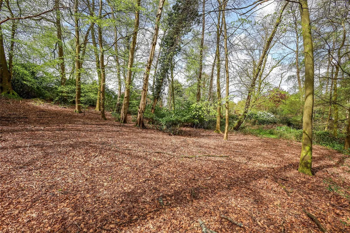 Primrose Lane, Liss, GU33