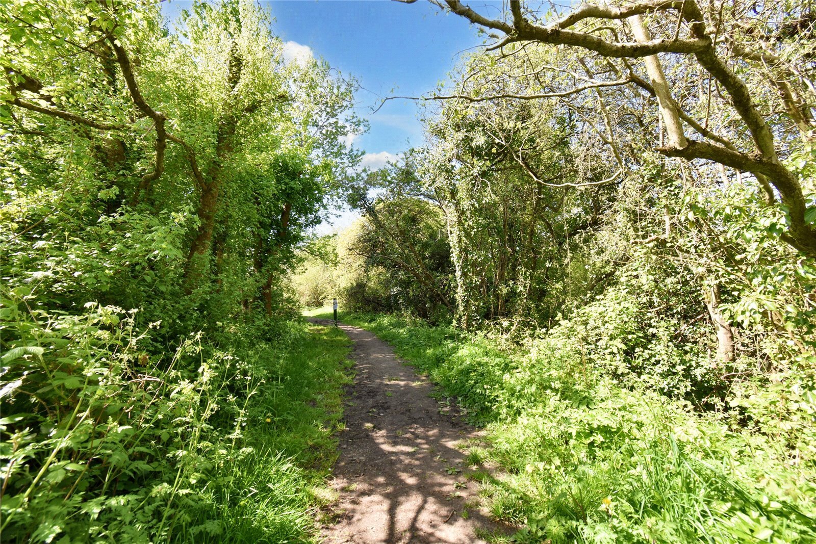 4 bedroom property for sale in Simmons Field, Thatcham, Berkshire, RG18