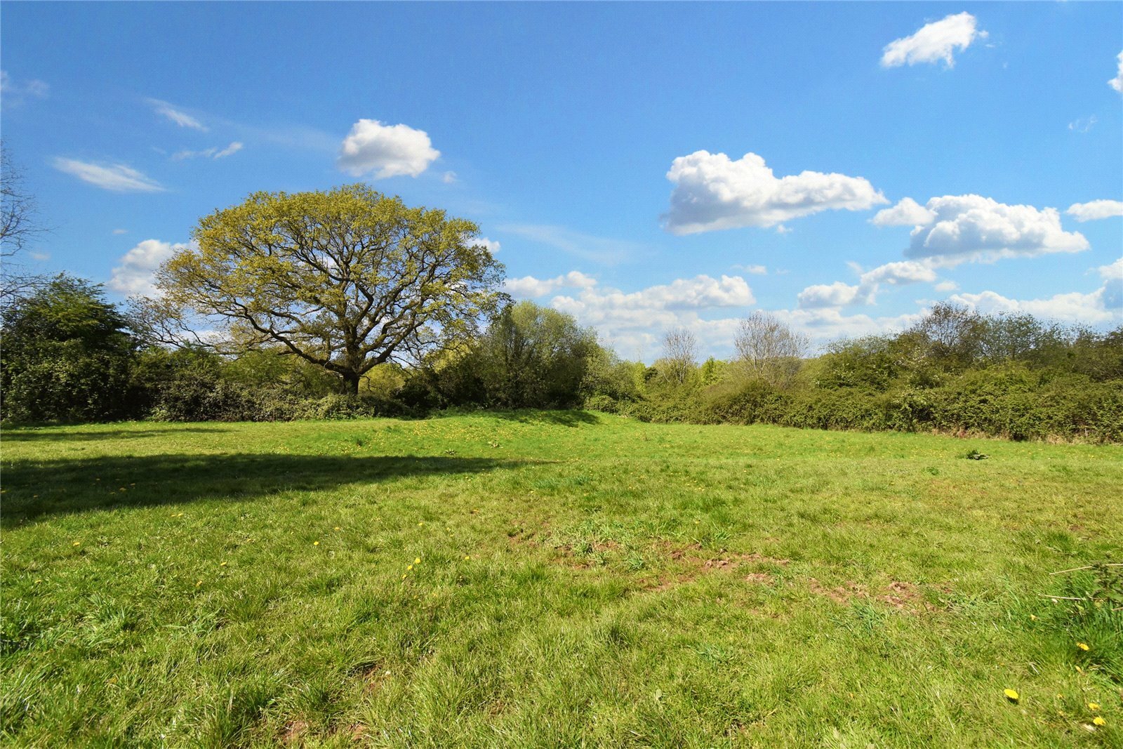 4 bedroom property for sale in Simmons Field, Thatcham, Berkshire, RG18