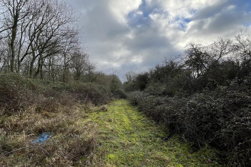 Fundenhall Road, Hapton, NORWICH residential (land) William H Brown