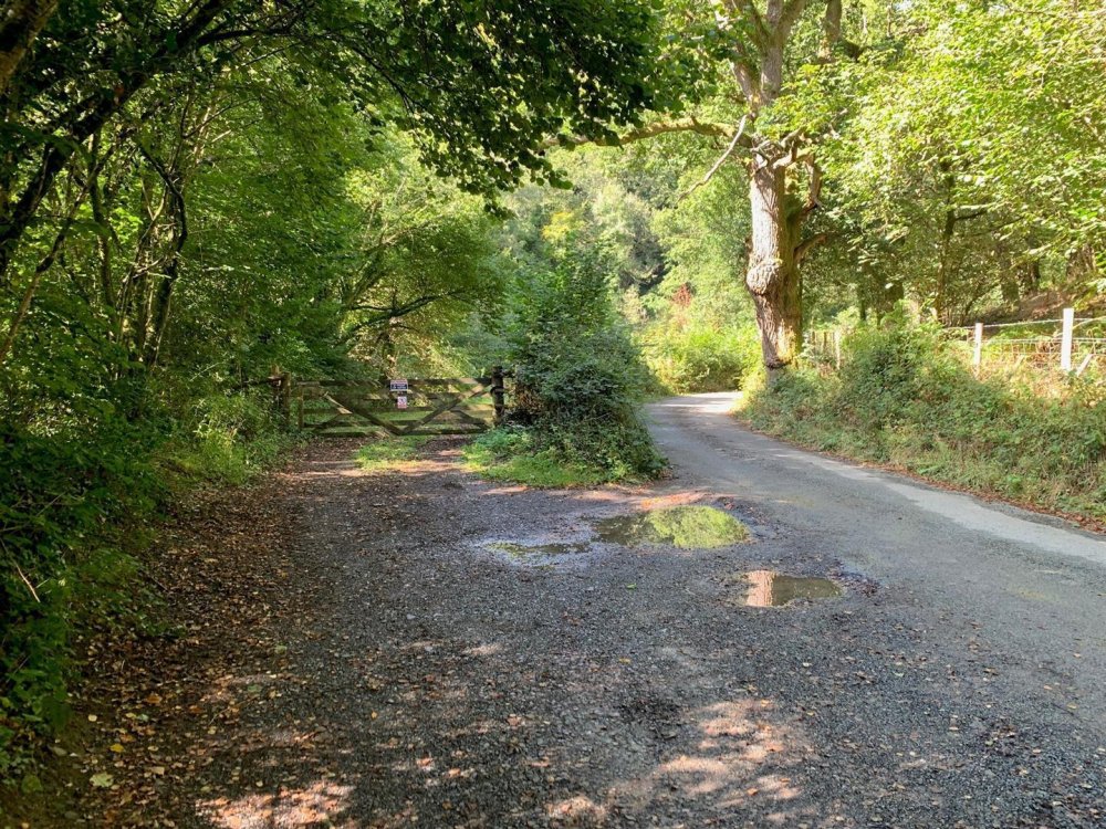 Stags property for sale in Dunsford