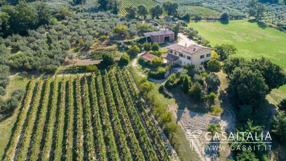 Montefalco, Umbria, Italy