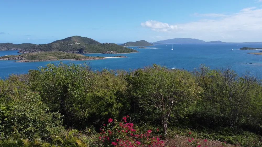 Tortola