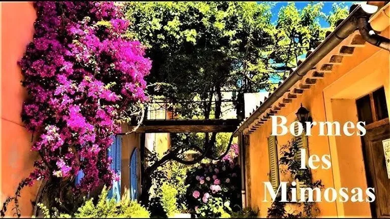 Bormes-les-Mimosas, 83230, France