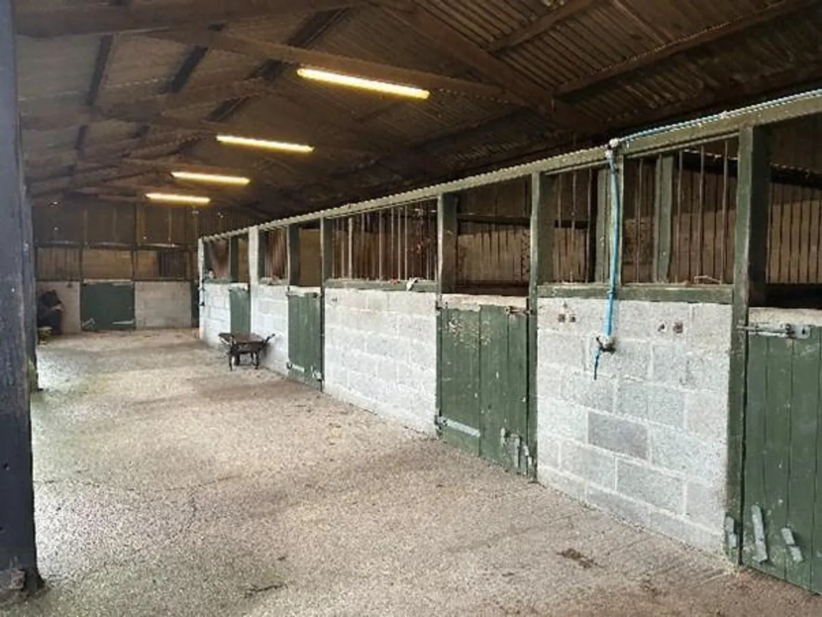 Park Farm Livery
