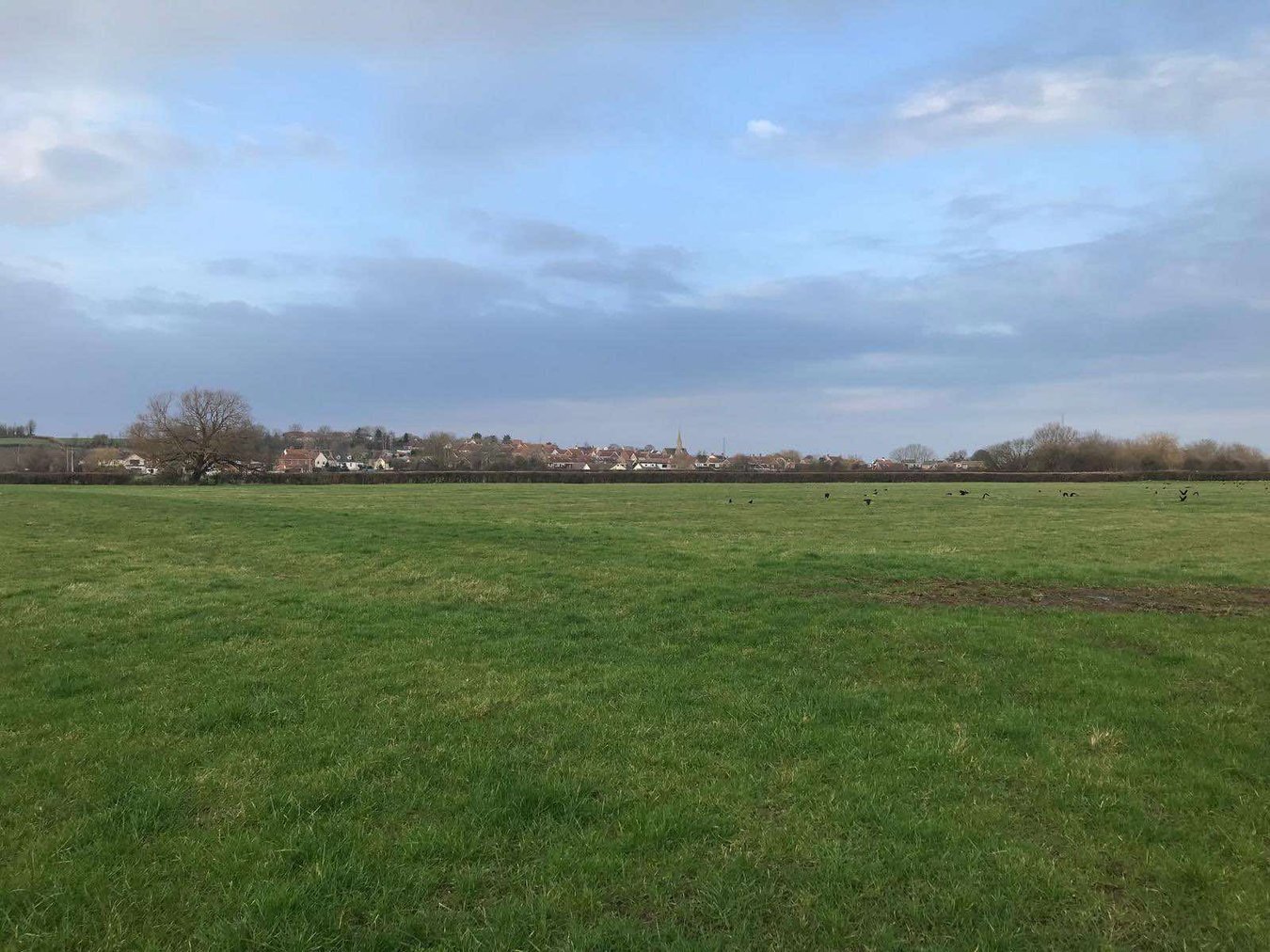 Lot A - Combwich Road, Combwich, Cannington, TA5