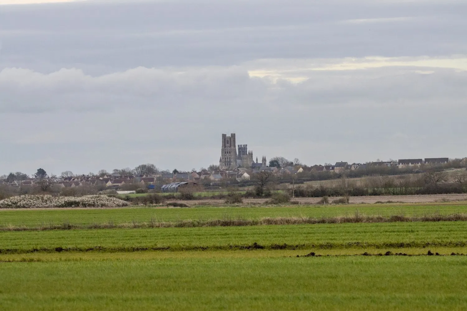 Common Road, Witchford, CB6 photo 6