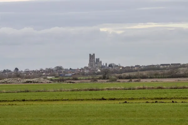 Common Road, Witchford, CB6 photo 6