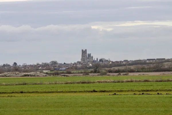 Common Road, Witchford, CB6 photo 9