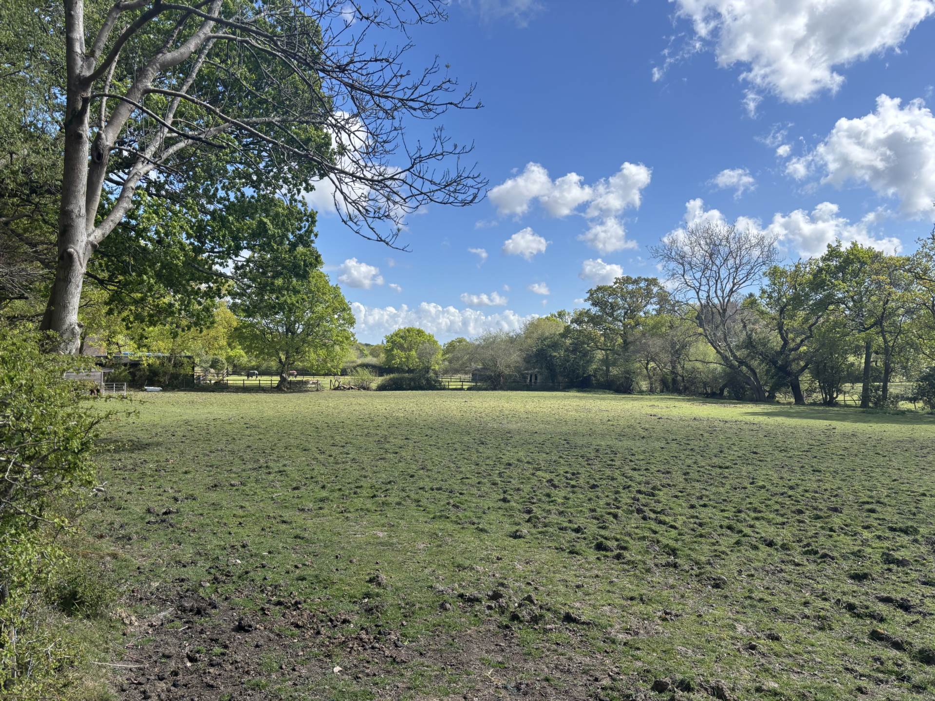 Minstead Image 1