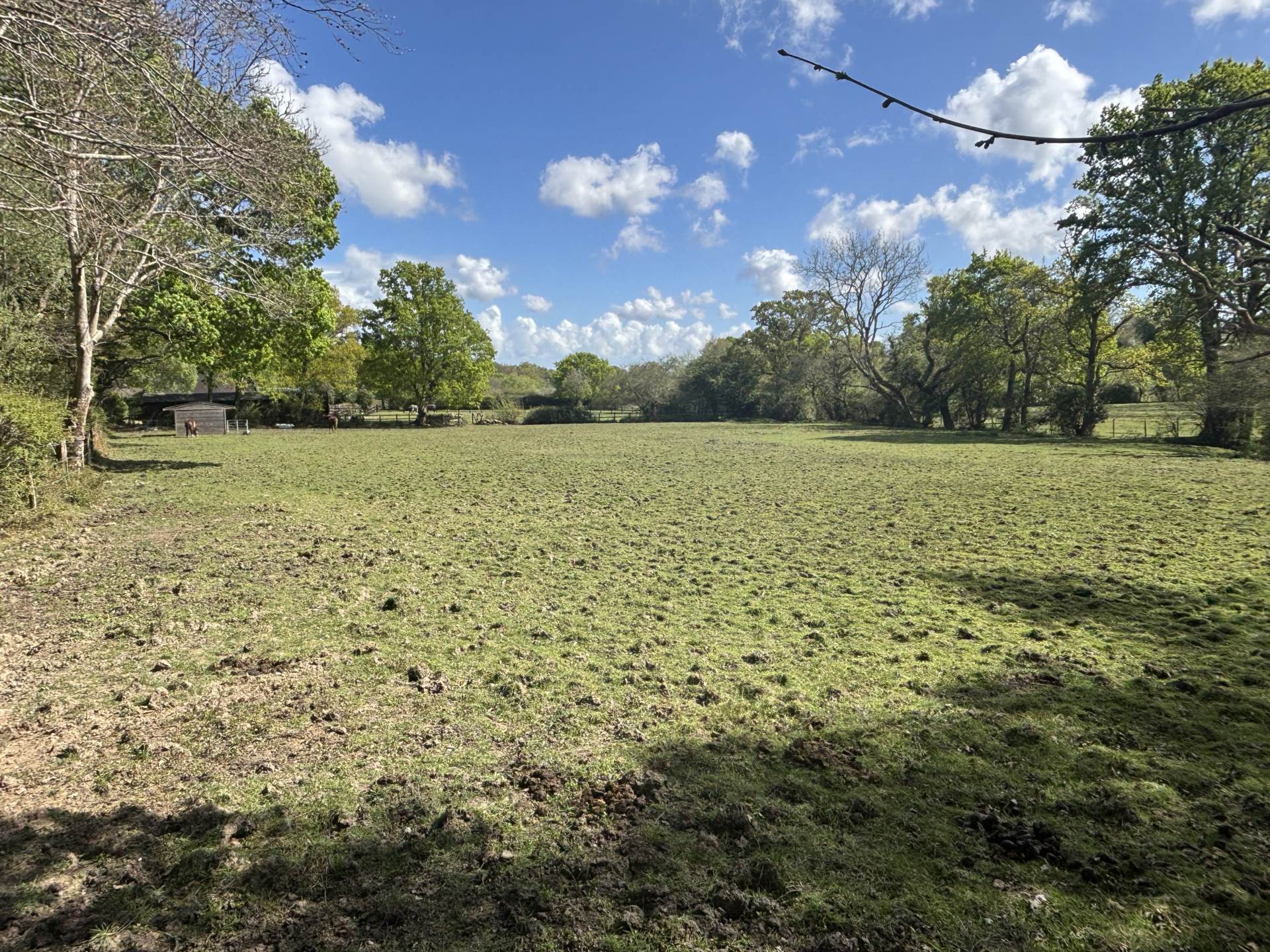 Minstead Image 2